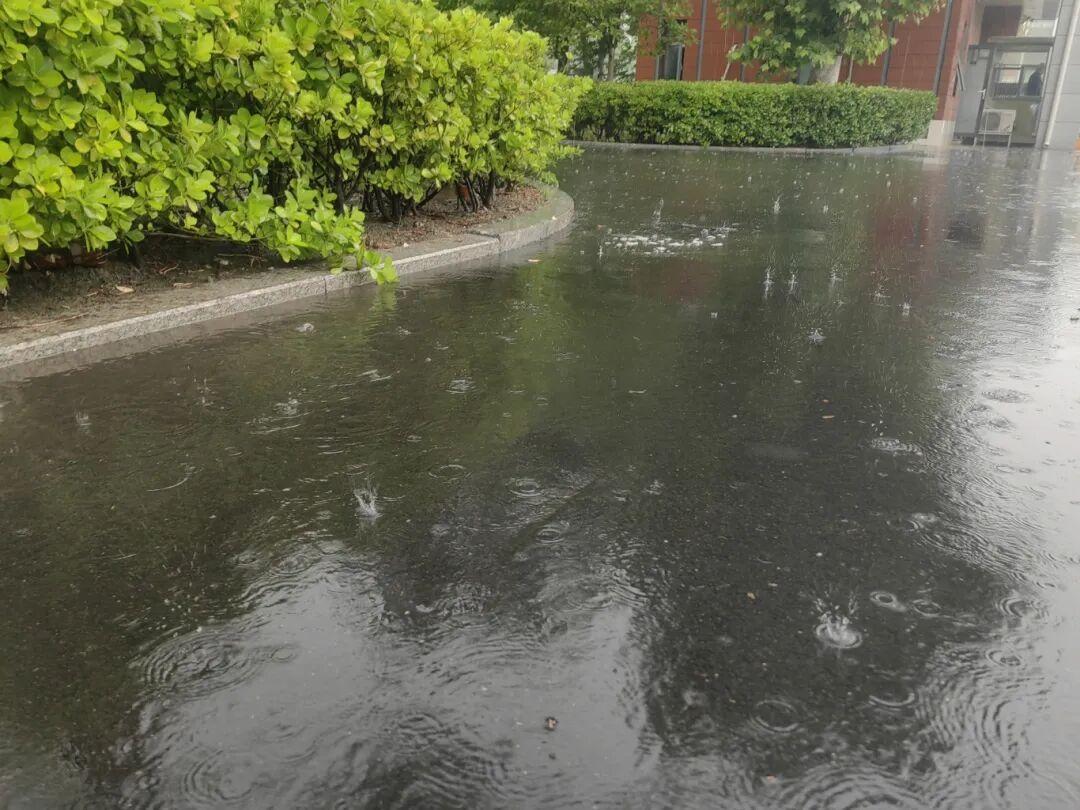 天津这场雨下得是真不小，感觉半个天津都被泡在水里了！刚看了下最新的数据，蓟州、武