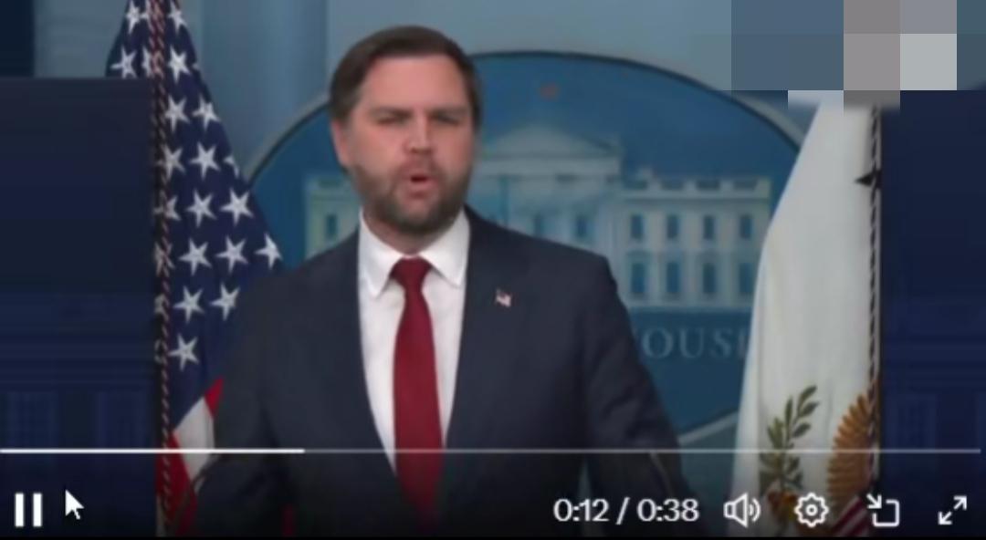 万斯表示，新设立的负责欺诈案件的助理司法部长将直接在白宫运作，并拥有完整的宪法授