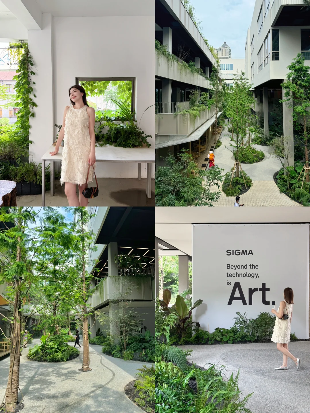 上海好拍的街区➕1…不愧是“代官山”