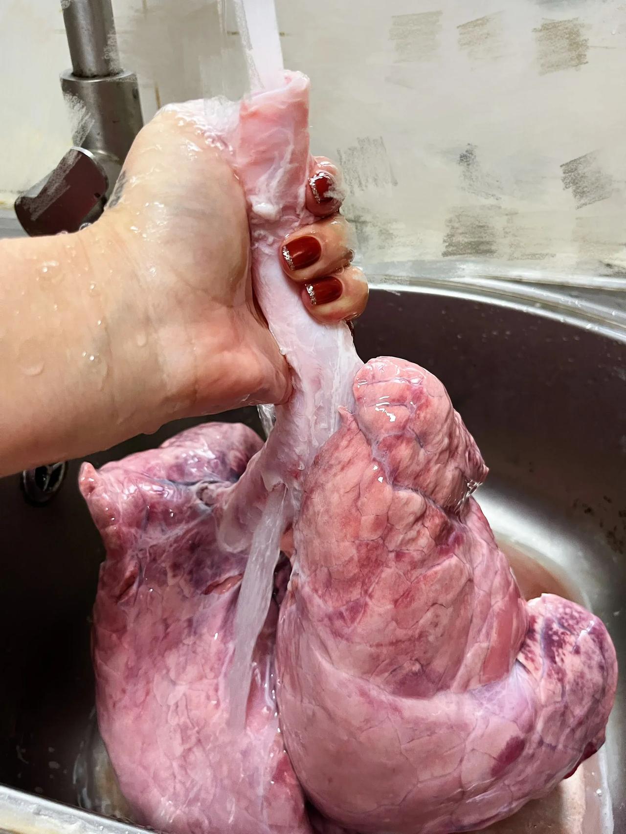 3块钱买了个猪肺，做个怀念美食萝卜猪肺汤！
中秋国庆假期，团圆菜可以安排一道！
