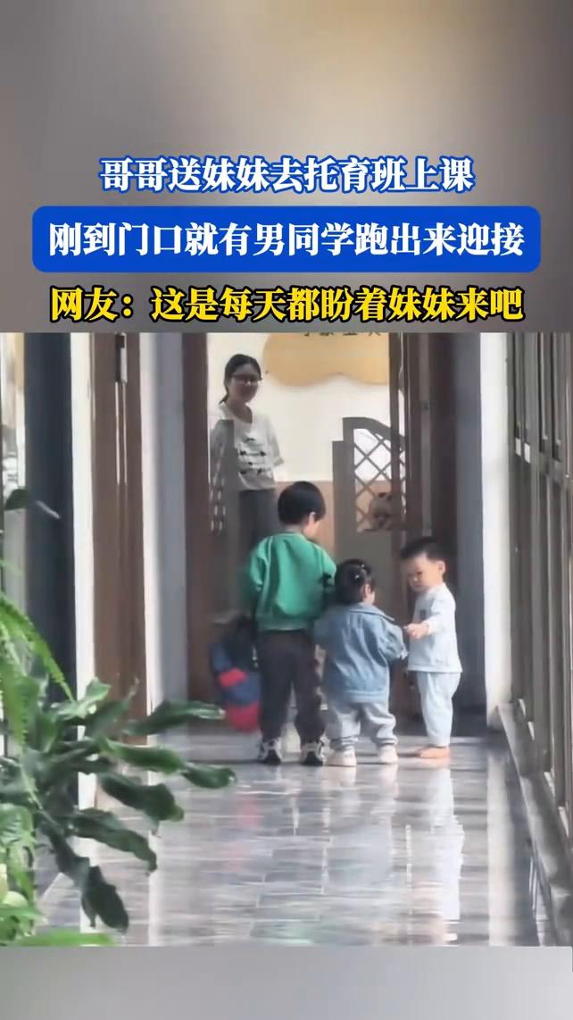 哥哥送妹妹去托育班上课，刚到门口就有男同学跑出来迎接。网友：这是每天都盼着妹妹来