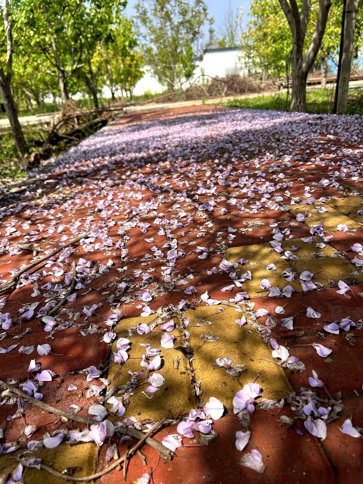 屏幕下方突然蹦出一行金闪闪的小字，我点烟的手都顿了一下。
“您的作品已被识别为优