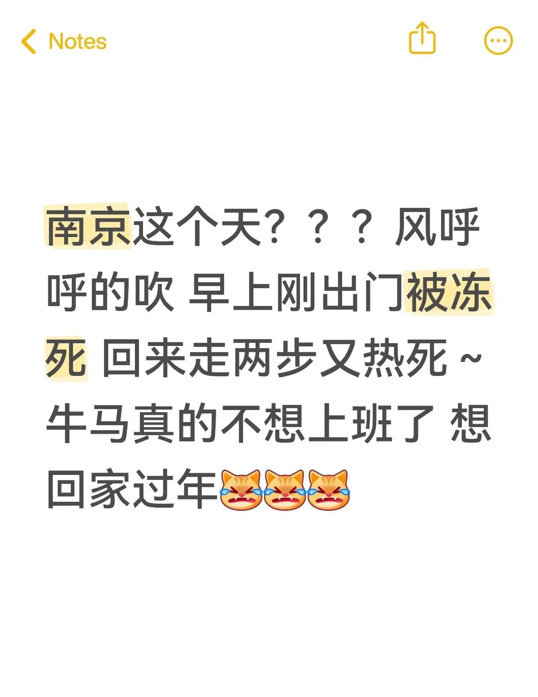 南京的狂风刮不动我这个大体格子👻
南京这个天？？？风呼呼的吹 早上刚出门被冻死