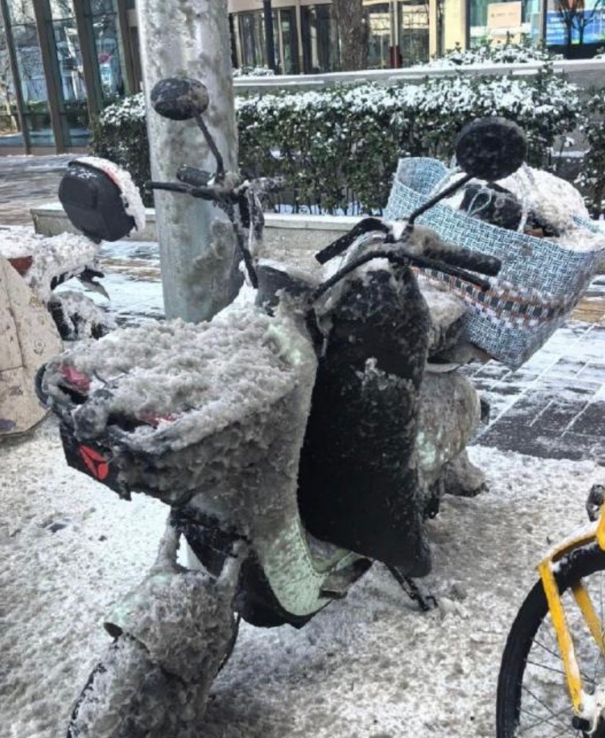 打工人回家看到这一幕都崩溃了吧….. 