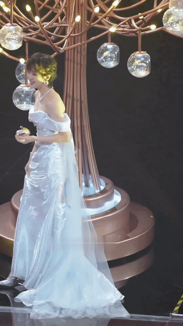 姚安娜三线艺人，顶流的排面，她的礼服是不用提的，裙摆是不用踢的，因为量身定做的裙