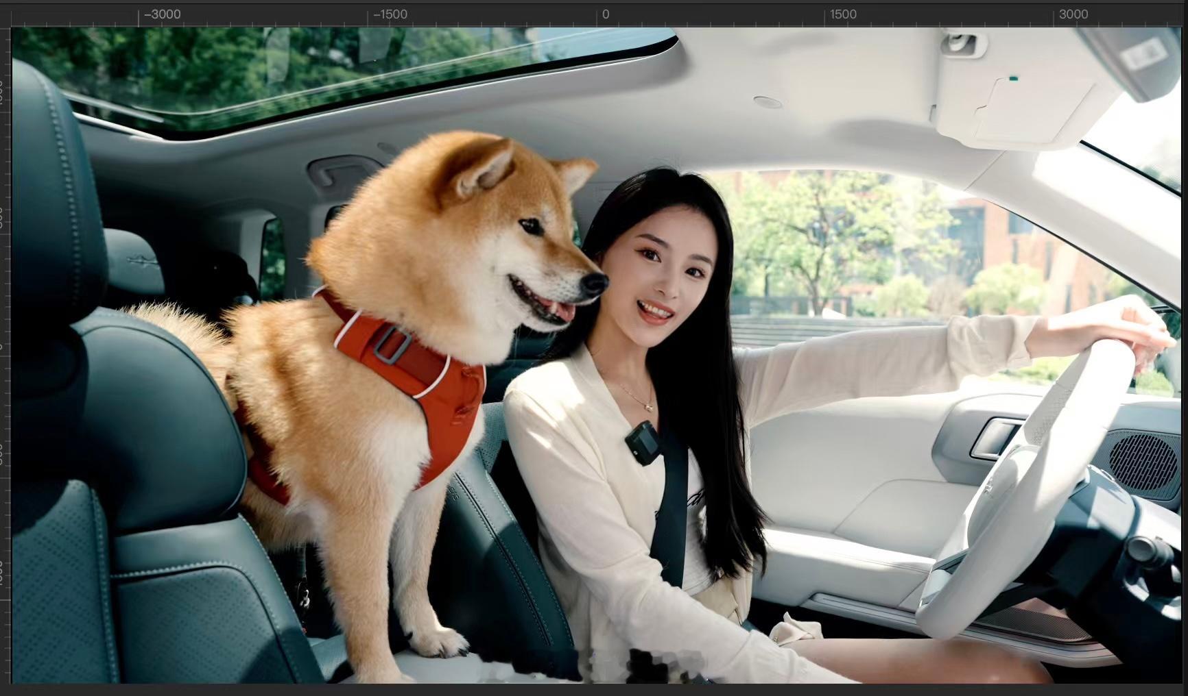 每当我拍车请出海胆🐶的时候……就知道是真爱了哈哈哈哈～猜猜是迪子的哪款车？小新