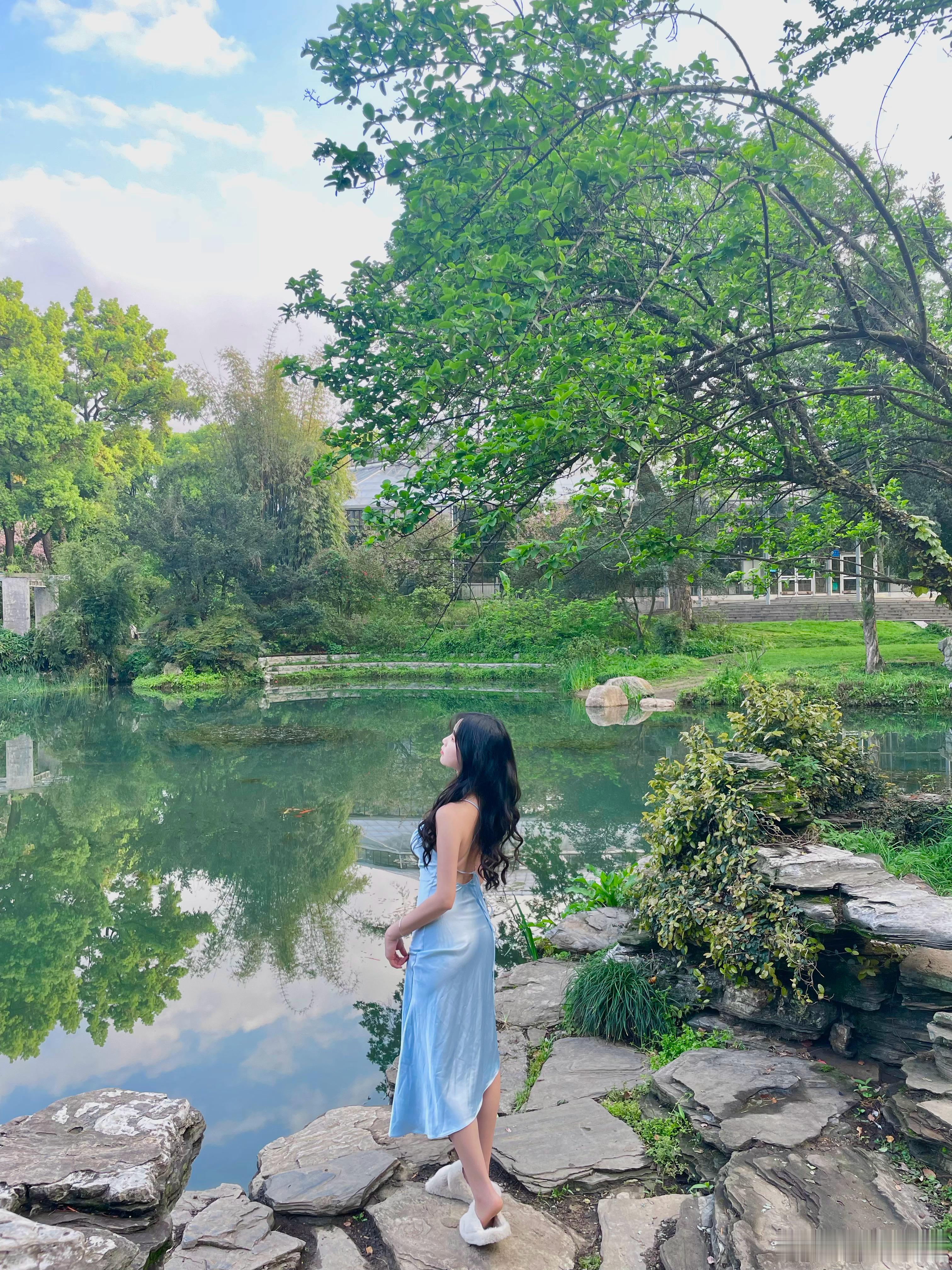 🍃 ​​​
