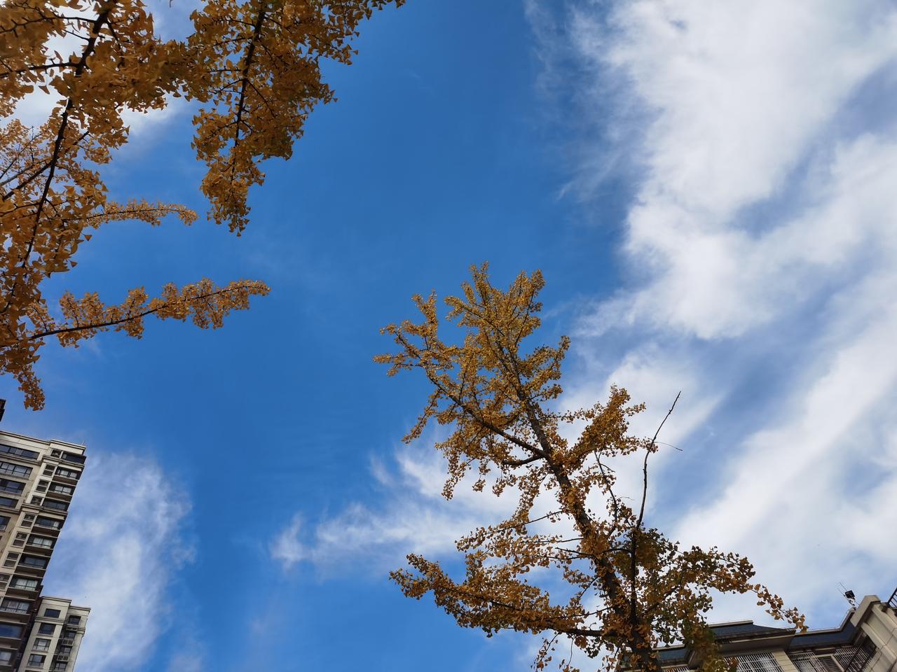 你要学会爱上自己的当下，爱上当下你所拥有的一切，无论当下你有什么，都要爱上它。
