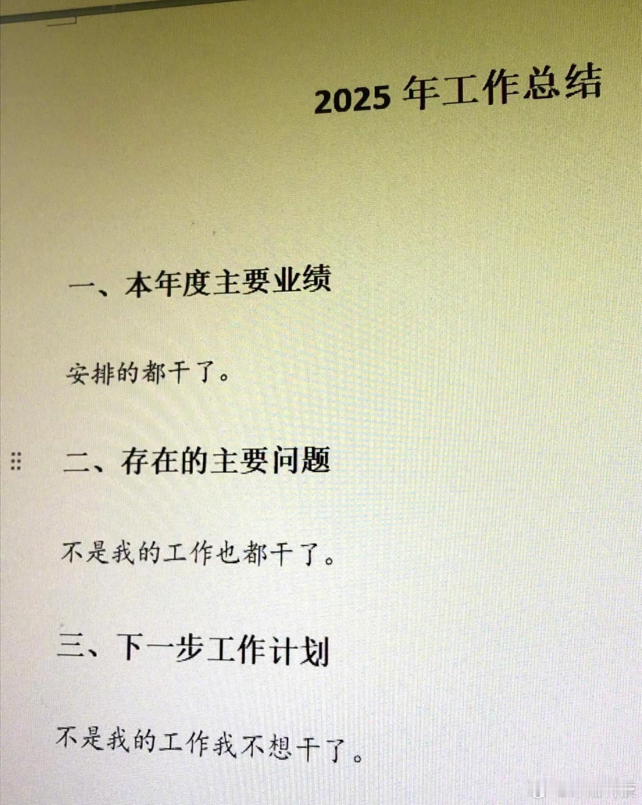 2025年工作总结 