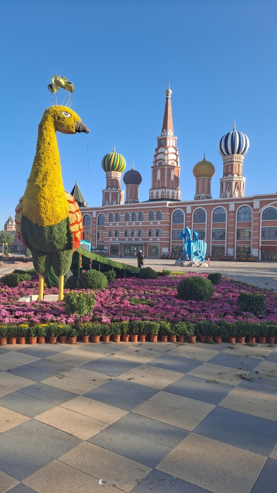 我的家乡很美家乡 我的家乡 手机拍摄