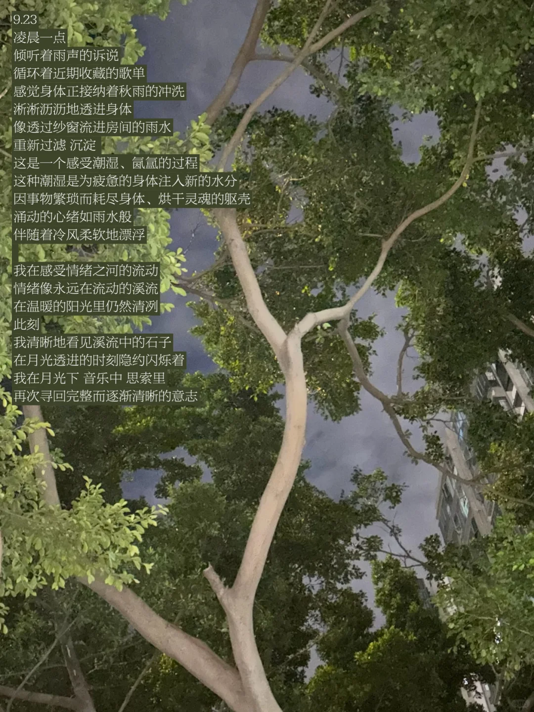 游离在九月与十月间：我想成为粗糙的器皿。