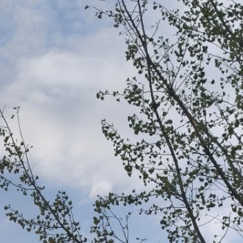 每日一善[超话] 🍀阳光信用🍀每日一善以善良为师，得到的是正义和正直的教诲，