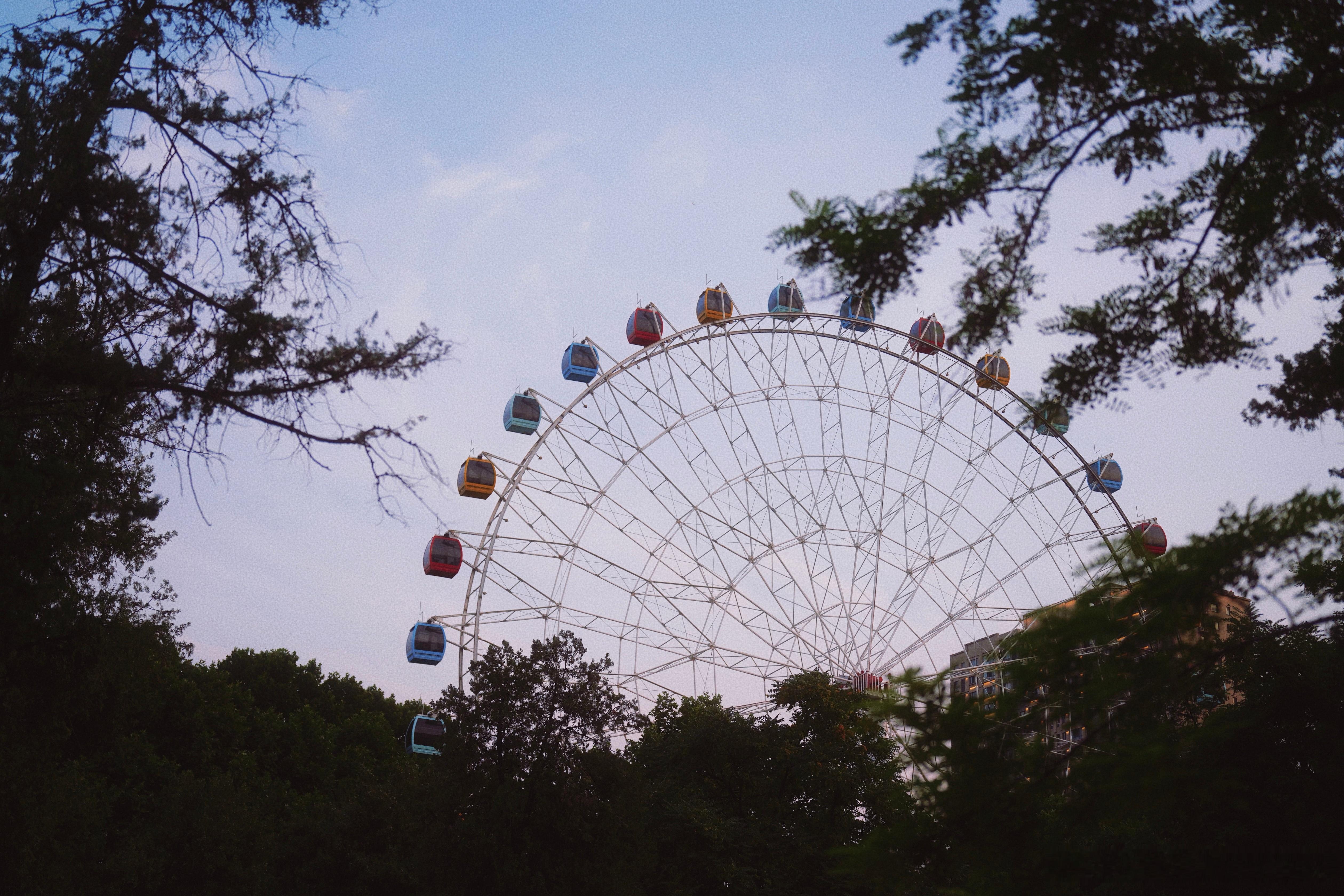 🎡 