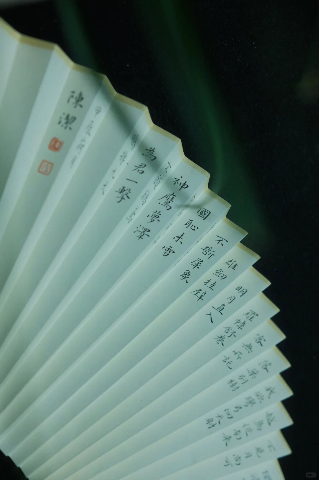 写扇  李白独漉篇｜ 新买的佛手开始变色了