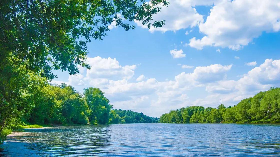 这个问题没有标准答案，因为每个人对于完美的理解不同，所以对于退休生活的最佳状态也