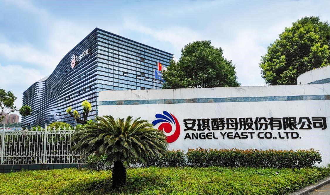 宜昌这家企业真厉害，半年纯挣8亿多！
安琪酵母2026年上半年净利润达8.81亿