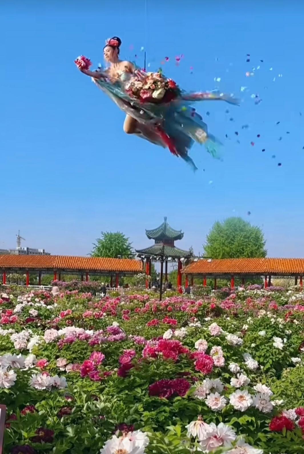 菏泽曹州牡丹园，那简直是牡丹的天堂。去观赏牡丹仙子散花，就像掉进了五彩斑斓的梦境