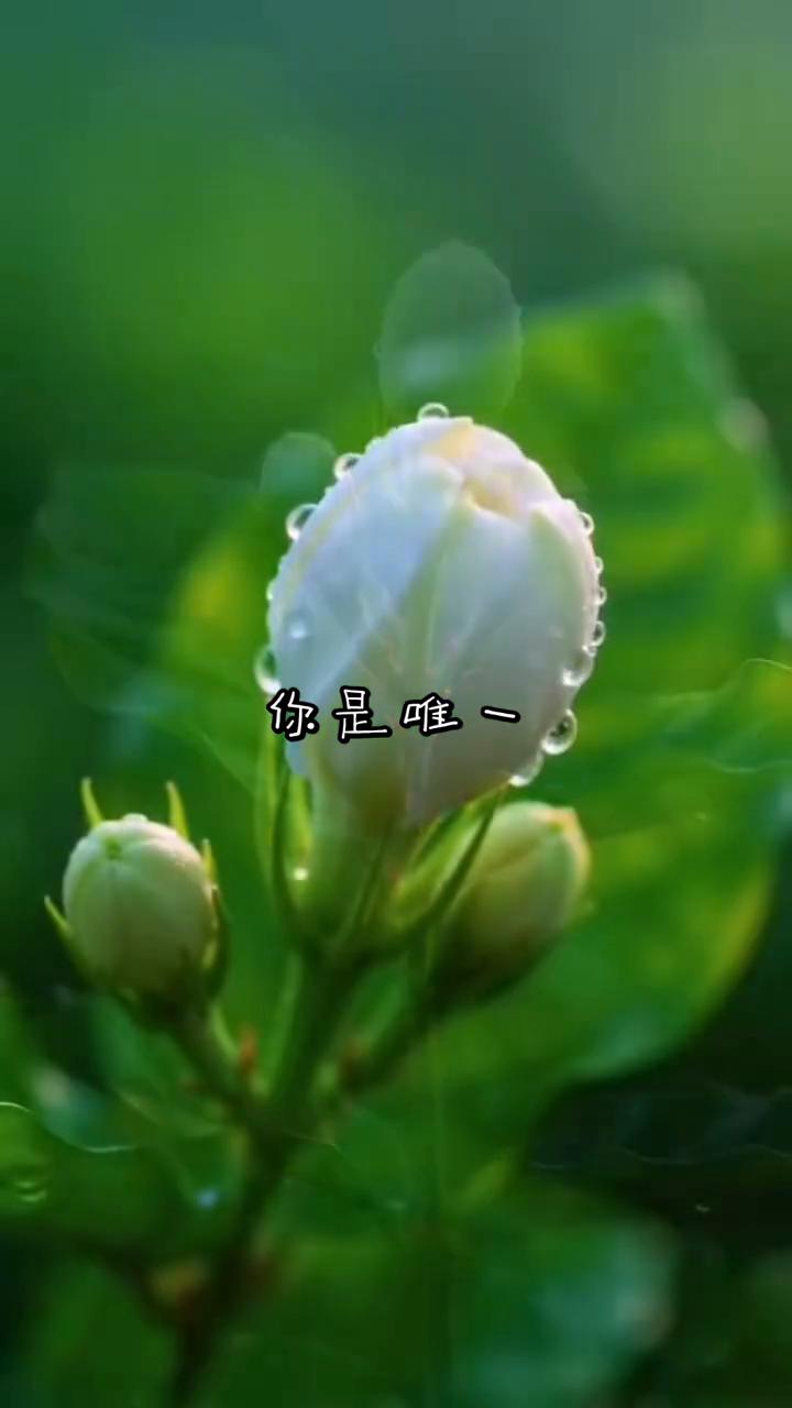 你是唯一。