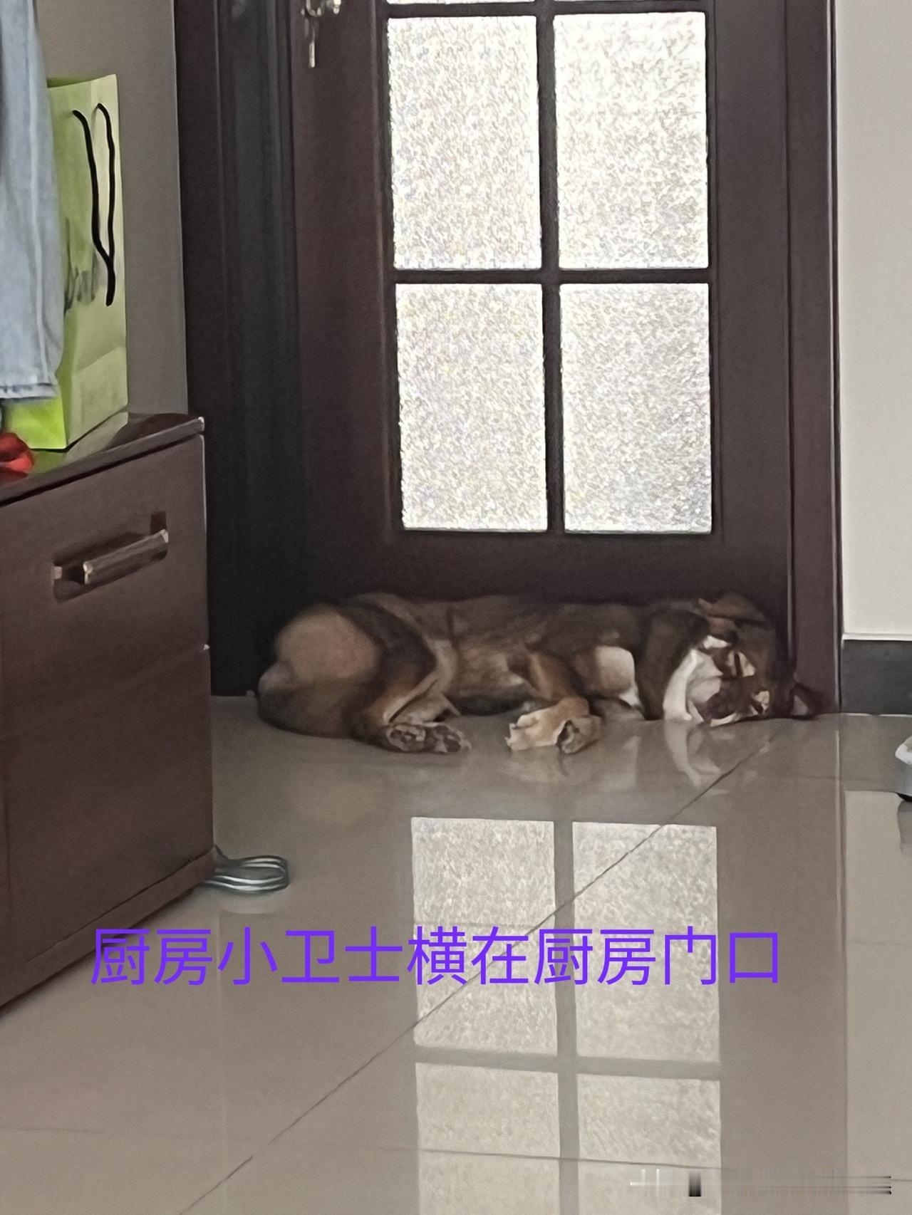 很多人觉得，婚姻依靠缘分。在固有印象里，缘分等同于顺其自然，是一场不刻意的偶然相