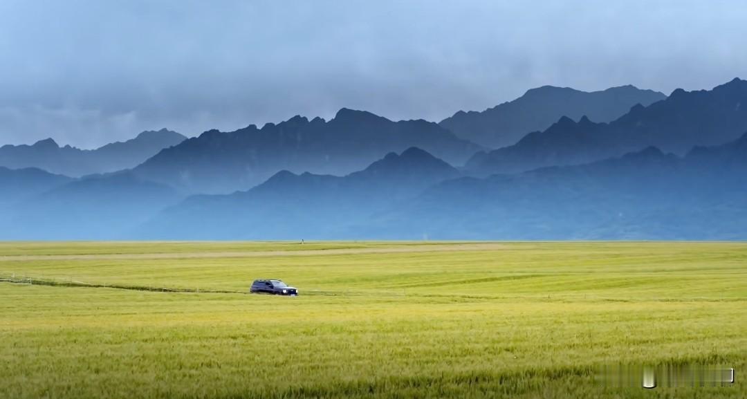 终南山下，群山黛色，起伏绵长，晨雾缭绕，淡墨如画，万顷麦浪，荡漾初黄，大美秦川。