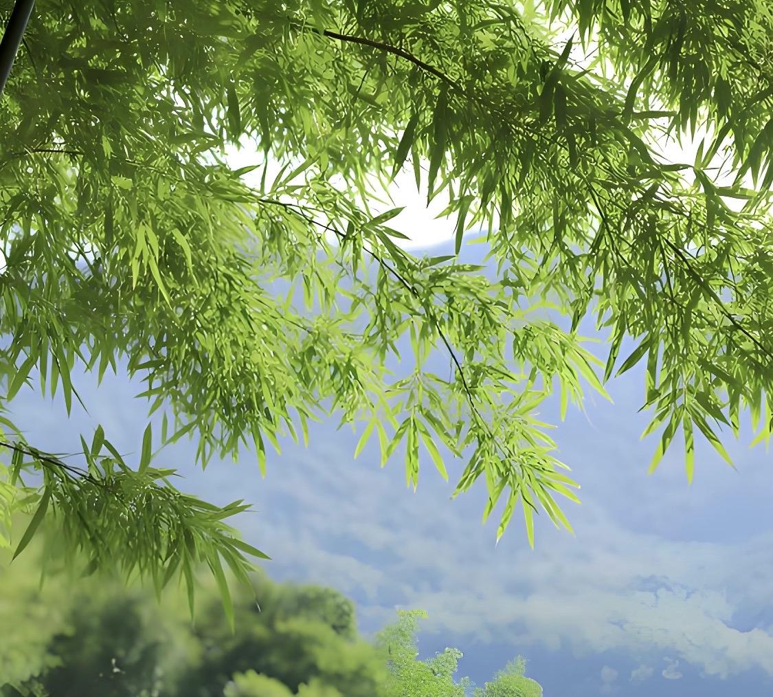 上联“云闲鹤逸松涛静”有一种超凡脱俗的意境。云儿闲适，仙鹤自在，松涛都安静了下来