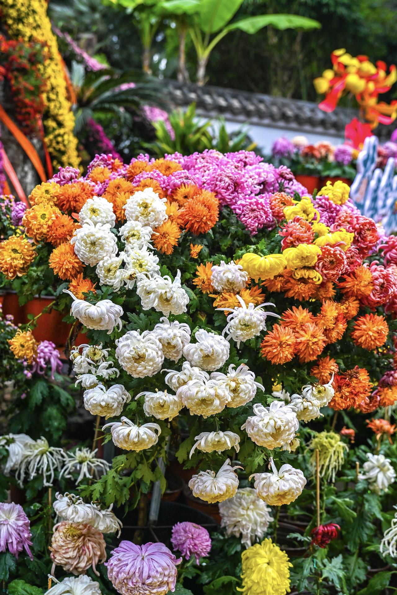 为什么现在很多媳妇都说婆婆不好?对自己要求太低，对婆婆要求太高
        