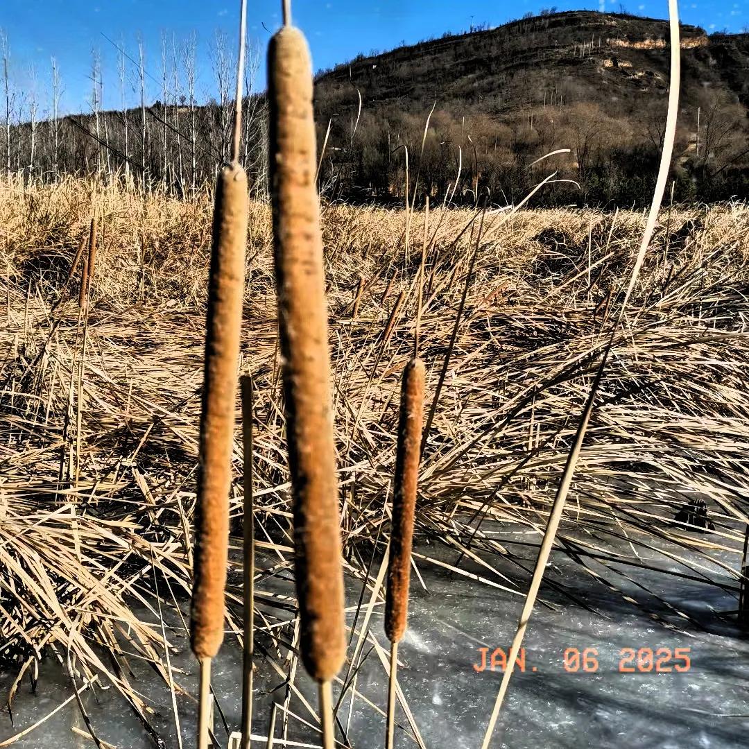多出去走走吧，毕竟读万卷书不如行万里路，要善待自己，让每天都过得精彩！ 没有时间