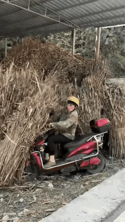 小哥哥这下立功了，
村长一直苦于没有证据。