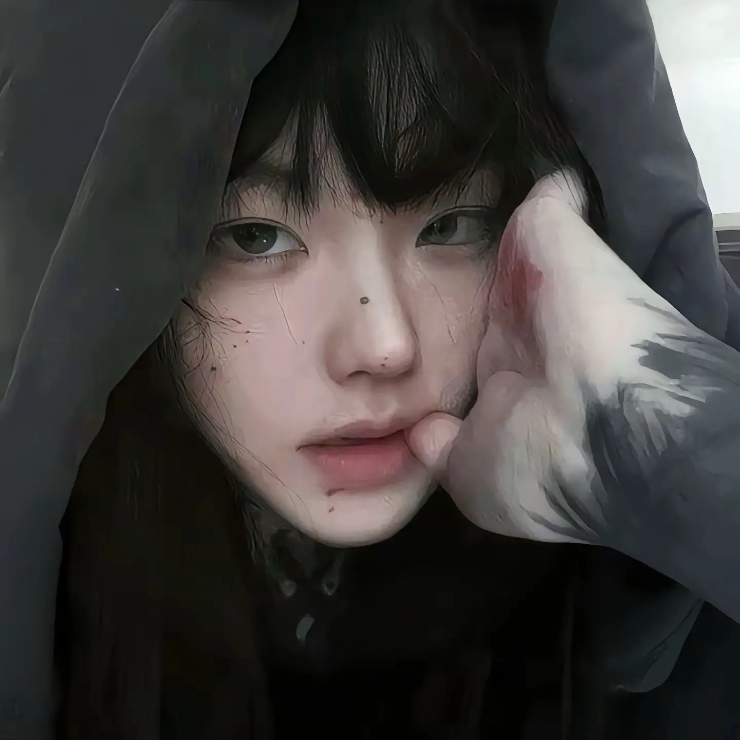 风禾尽起