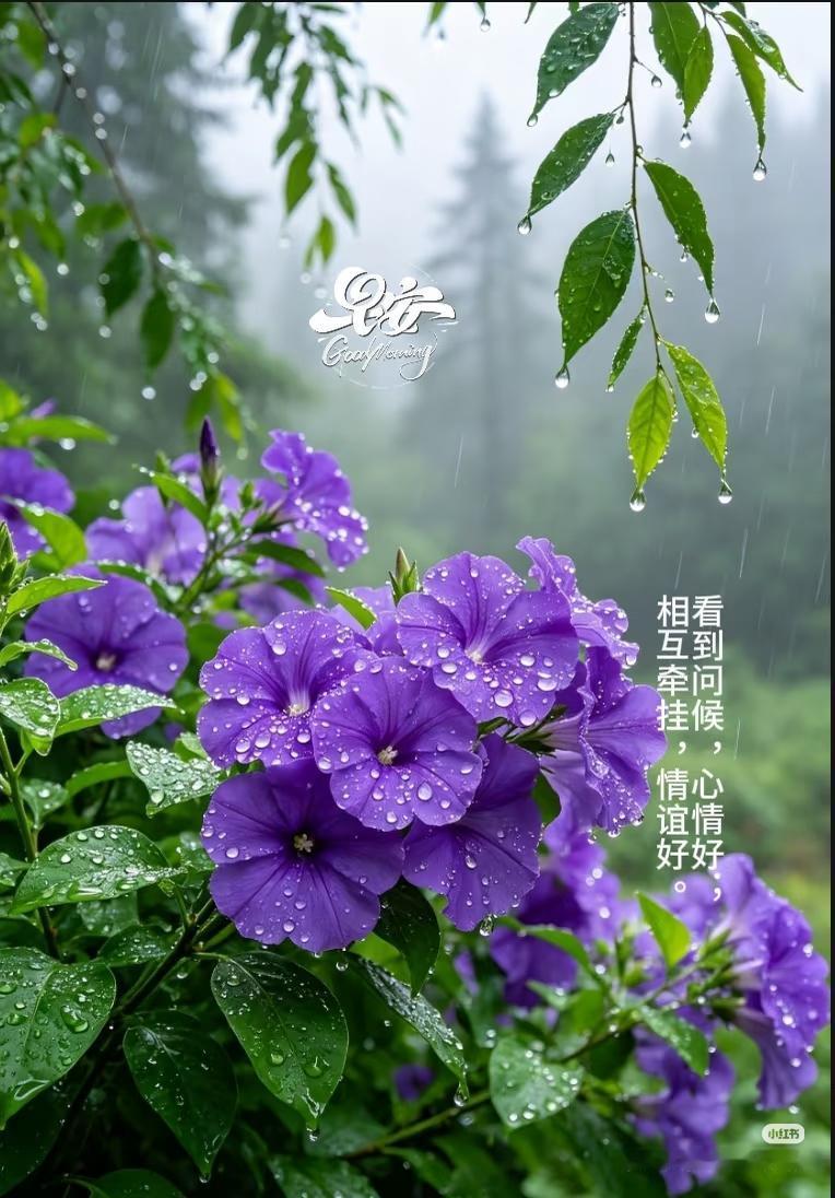 早上好，今天是9月28日星期一。
2026女排全锦赛昨天全部结束，江苏上海山东浙