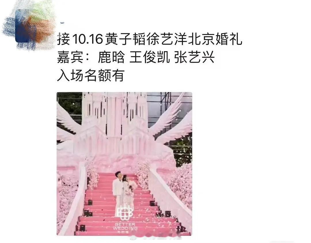黄子韬是内娱第一人把票务出婚礼入场的吧？？功夫熊猫tao就这样刷新我对他的认知下
