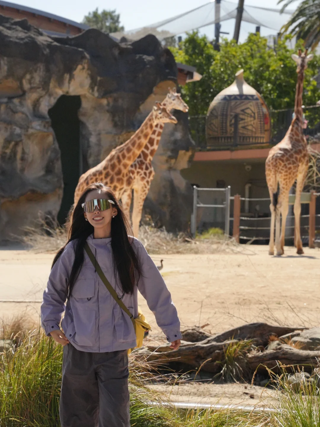 动物园里有什么🦘🦒🐘🐫🦥🦝🦅🐅🐊🦍🦃🐢