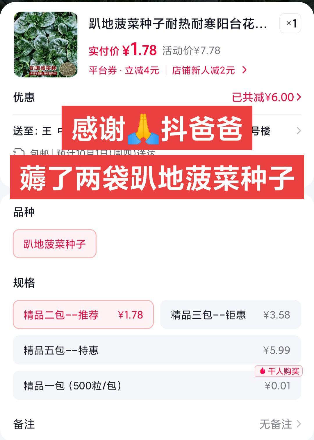 耐寒趴地菠菜种子，传统老品种，更有菠菜味菠菜种子 优质蔬菜种苗 蔬菜种子 菠菜种