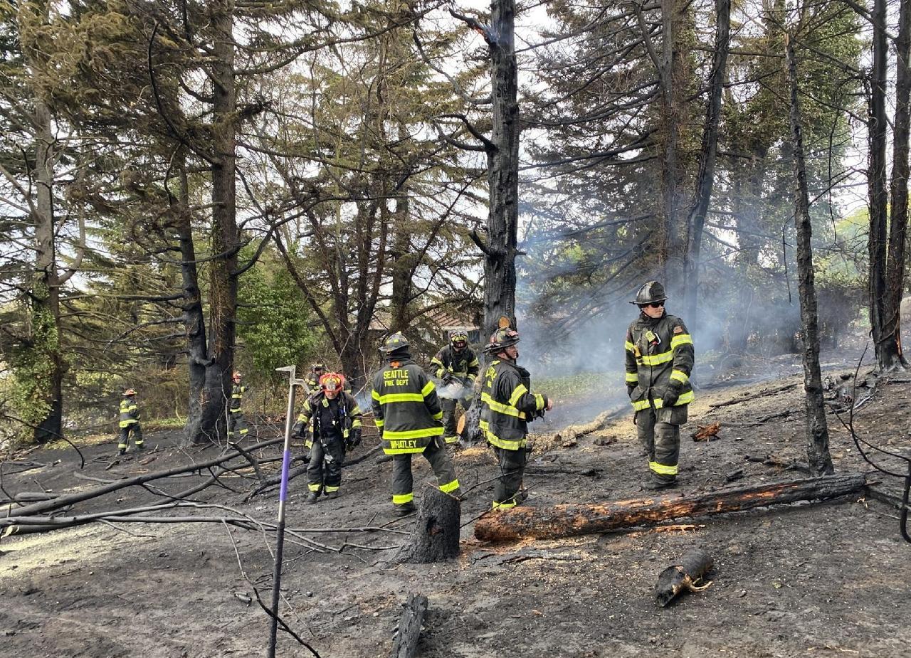 【西雅图纵火案数量创五年新高】在10月份的一个清晨，西雅图消防队接到报警，称贝克
