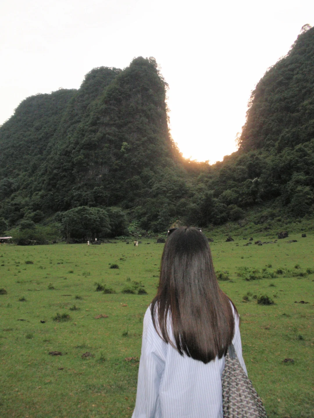 去绿色的地方⛰️响水石林