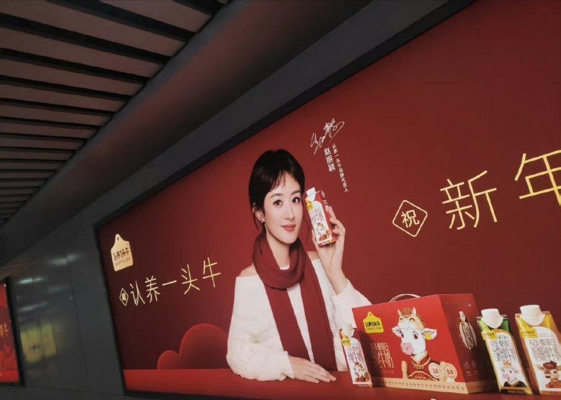 赵丽颖认养一头牛新年地广来喽，品牌霸霸等不及了已经