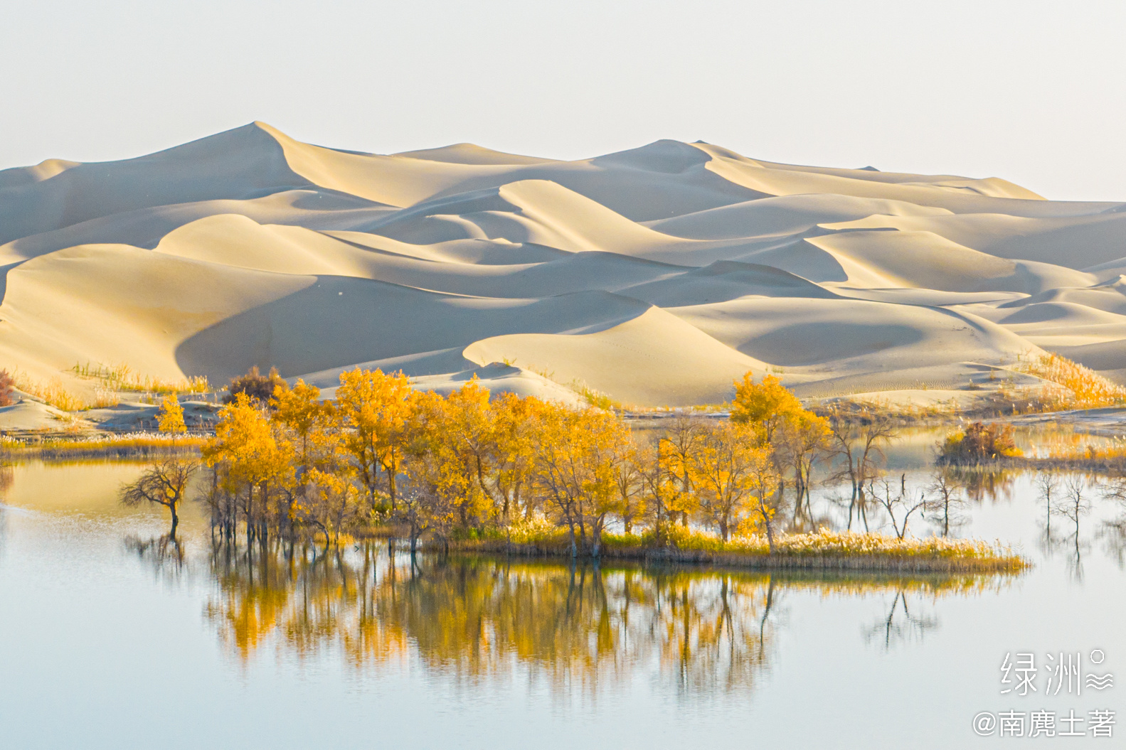 一半火焰，一半海水间 新疆｜巴州#大美新疆#  