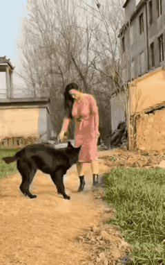 人与动物和谐相处，让世界充满爱！