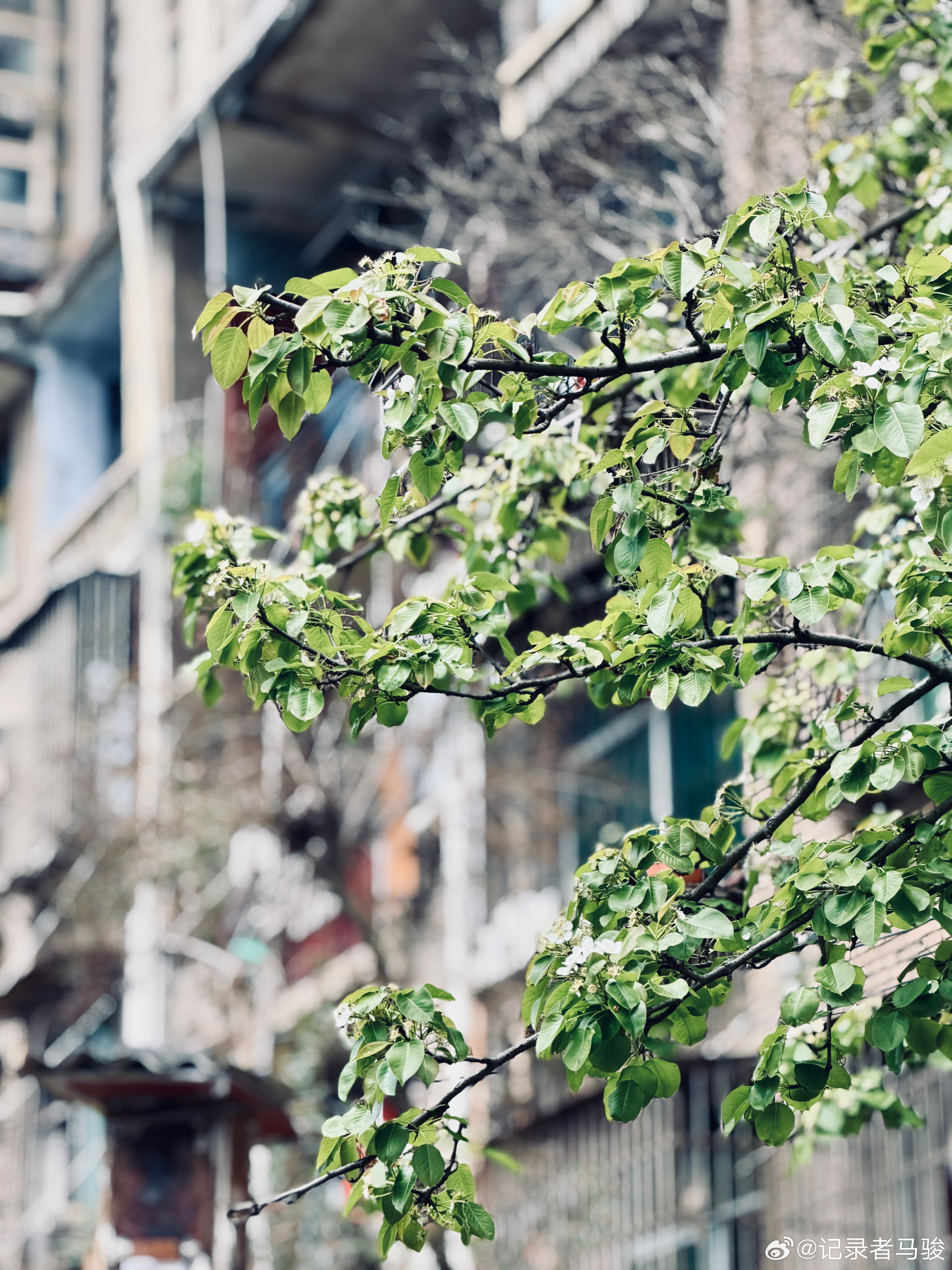 人与人之间的相处，表面上是言语往来，实则是情绪对接。好梦~~~ 