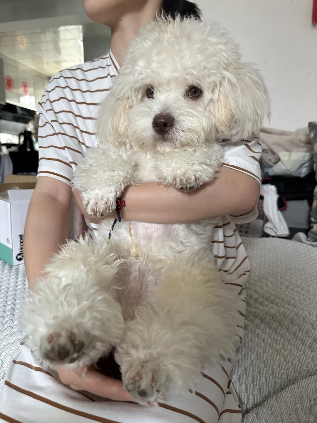 有点局促🐾