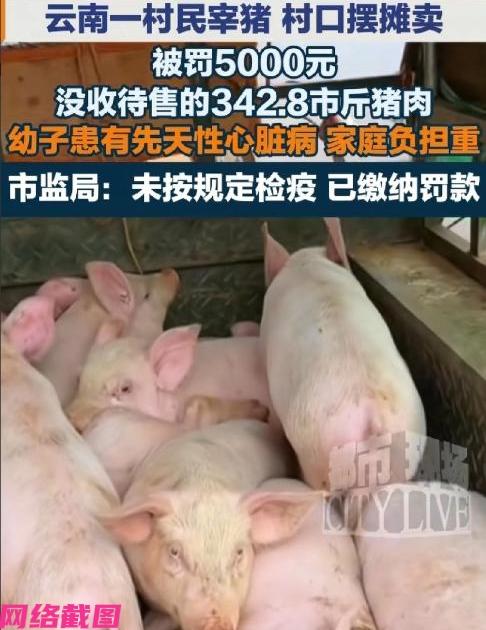 云南文山有女子家因经济条件不好，还遇到家人生病，女子并私自买了一头毛猪后在家中屠