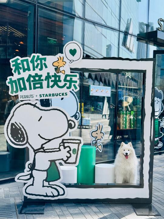 萨摩耶+史努比=