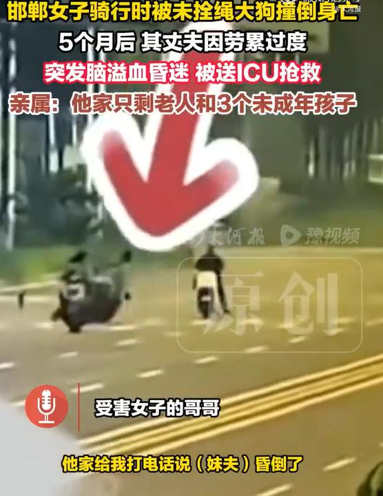 邯郸女子被大狗撞倒身亡丈夫住进ICU，原因是在维权的5个月中，身心俱疲，劳累过度