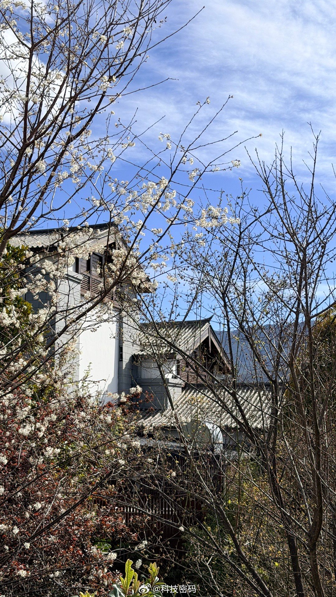 早，在丽江，今天等vivo X300 Ultra 