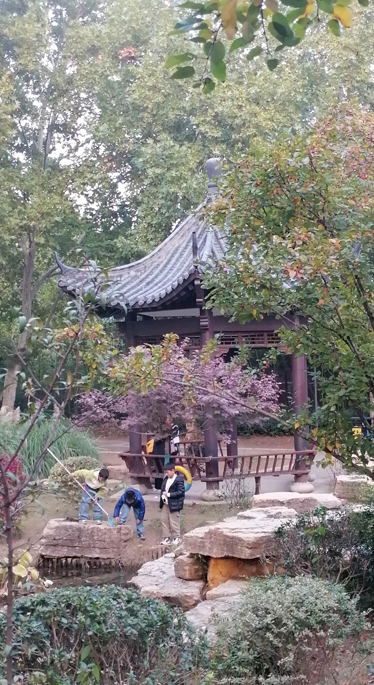 纪录美好生活 秋日生活打卡季