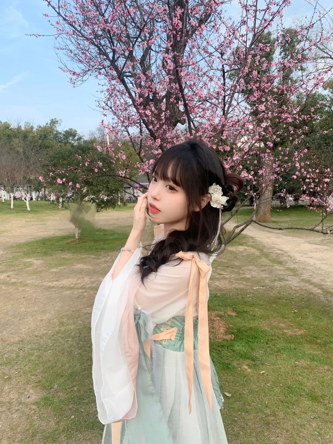 偶遇一枝梅花
