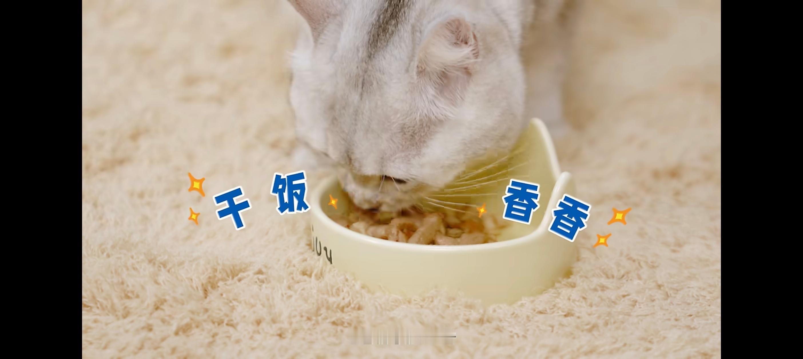 郑恺官宣DHC品牌新身份  以爱之名，筑起健康“恺”甲，让陪伴不止于当下🌿🌾