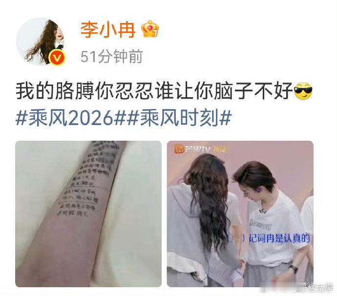 李小冉 在记了两个胳膊都记了 一边记歌词一边安慰胳膊的李小冉好萌哇，顶着张看着只