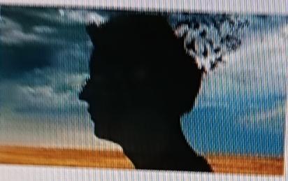 人格分裂的感受，想想就很复杂。人格分裂的人敏感多疑，总觉得别人在欺骗自己，像活在