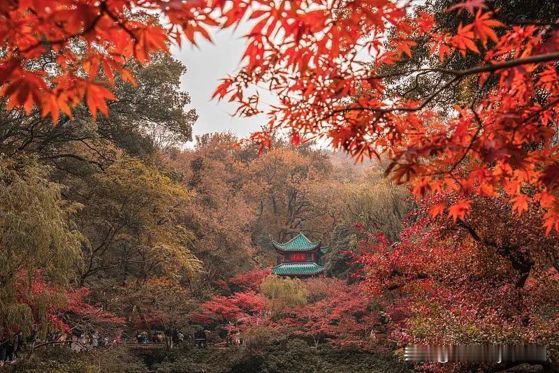 湖南省各地州市名山汇总
一、长沙市
1. 岳麓山：5A（岳麓山·橘子洲旅游区）
